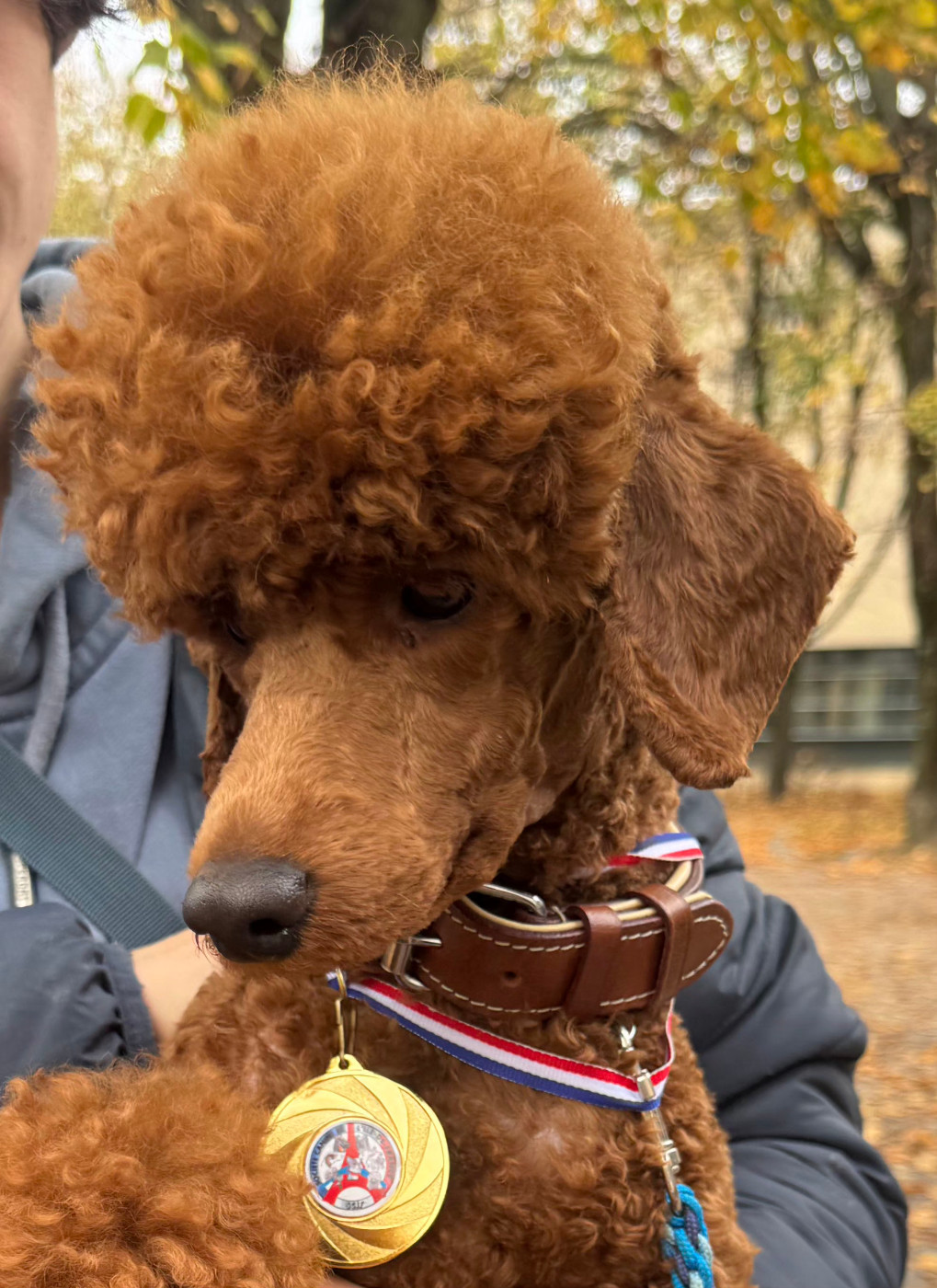 VIGNETTE de floreval